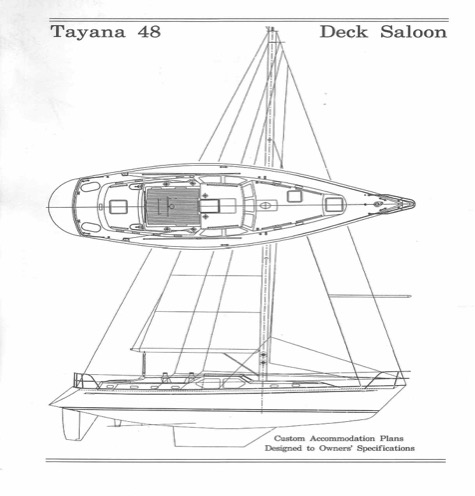 Tayana Line Drawing 1